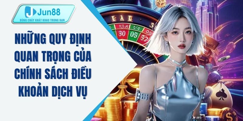 Những quy định quan trọng của chính sách điều khoản dịch vụ